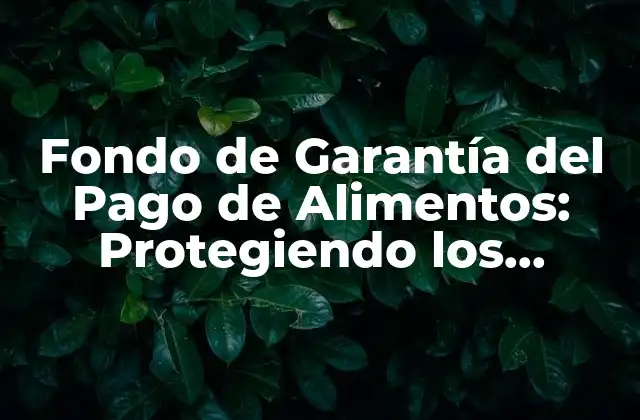 Fondo de Garantía Del Pago de Alimentos: Protegiendo los Derechos de los Menores