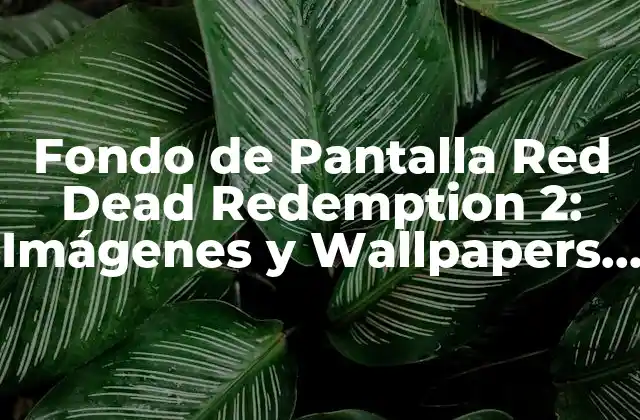 Fondo de Pantalla Red Dead Redemption 2: Imágenes y Wallpapers Hd