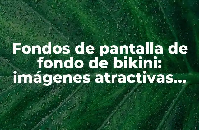Fondos de Pantalla de Fondo de Bikini: Imágenes Atractivas para Tu Dispositivos