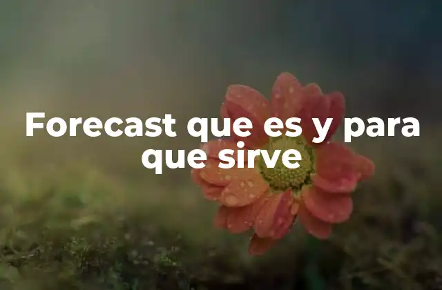 Forecast que es y para que Sirve