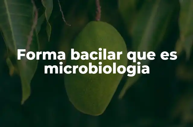 Forma Bacilar que es Microbiologia