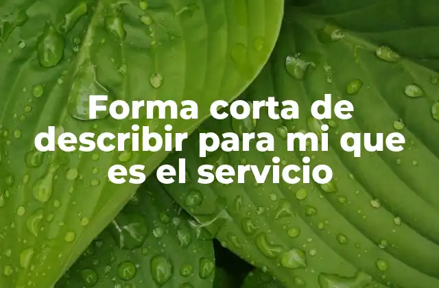La importancia de los servicios en la economía moderna