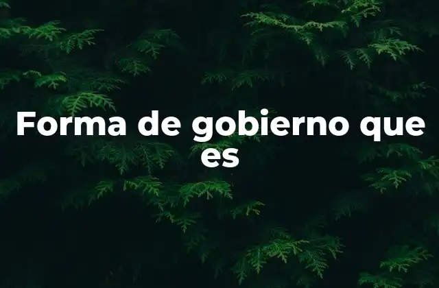 Forma de Gobierno que es