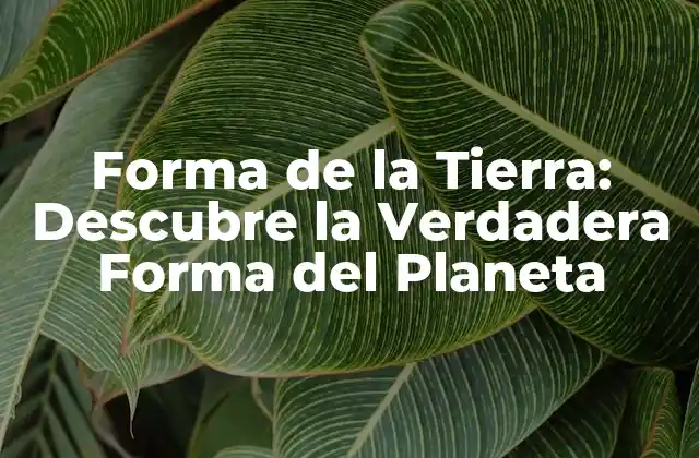 Forma de la Tierra: Descubre la Verdadera Forma Del Planeta 2 La Teoría de la Tierra Plana