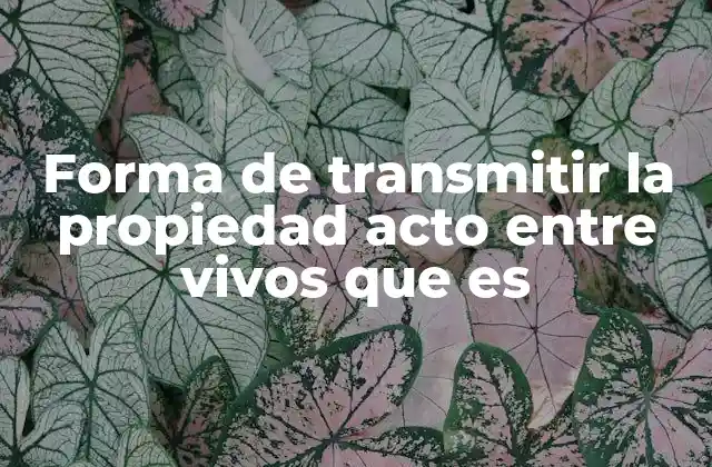 Forma de Transmitir la Propiedad Acto entre Vivos que es