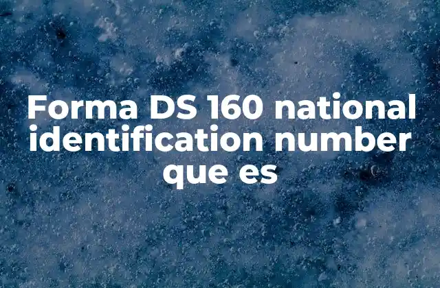 Forma Ds 160 National Identification Number que es