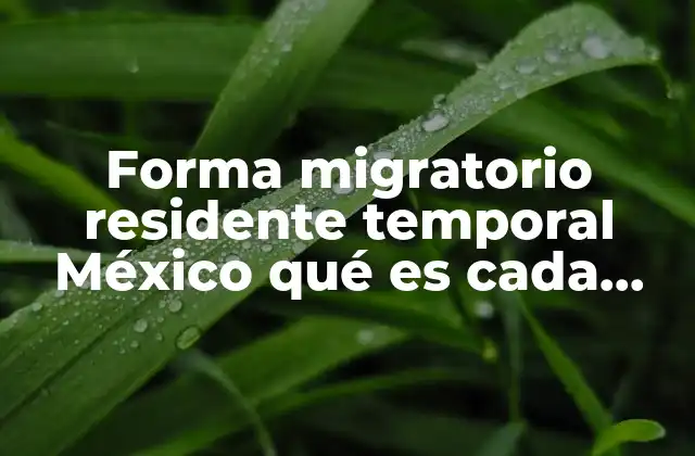 Forma Migratorio Residente Temporal México Qué es Cada Número