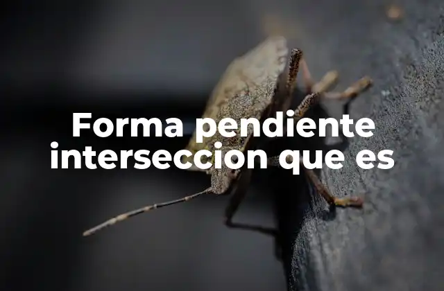 ¿Cómo se interpreta la pendiente y la intersección?