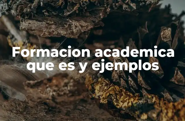 Formacion Academica que es y Ejemplos