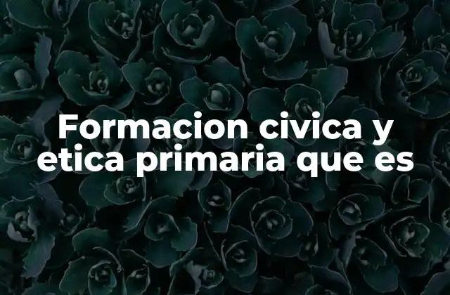 Formacion Civica y Etica Primaria que es 2 La importancia de enseñar valores en la educación primaria