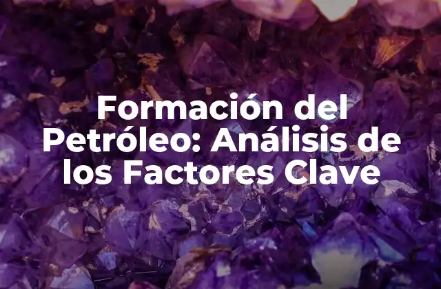 Formación Del Petróleo: Análisis de los Factores Clave