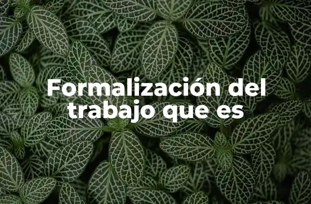 Formalización Del Trabajo que es