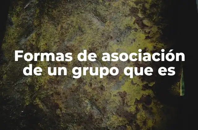 Formas de Asociación de un Grupo que es