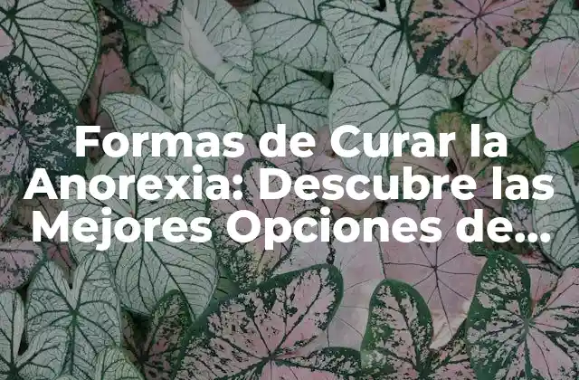 Formas de Curar la Anorexia: Descubre las Mejores Opciones de Tratamiento