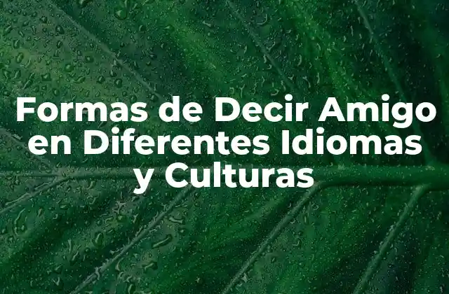 Formas de Decir Amigo en Diferentes Idiomas y Culturas