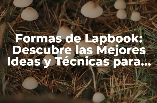 Formas de Lapbook: Descubre las Mejores Ideas y Técnicas para Crear Libros Interactivos