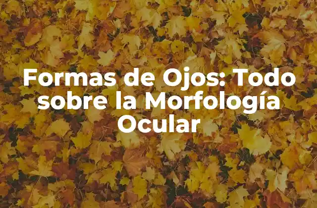 Formas de Ojos: Todo sobre la Morfología Ocular