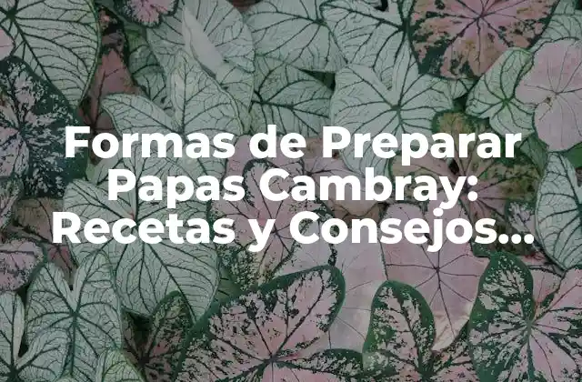 Formas de Preparar Papas Cambray: Recetas y Consejos para Disfrutar de Este Delicioso Plato