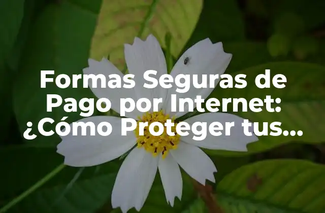 Formas Seguras de Pago por Internet: ¿cómo Proteger Tus Transacciones?