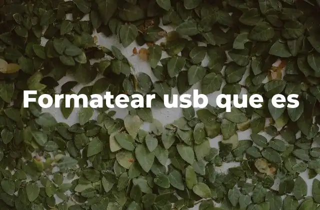Formatear Usb que es