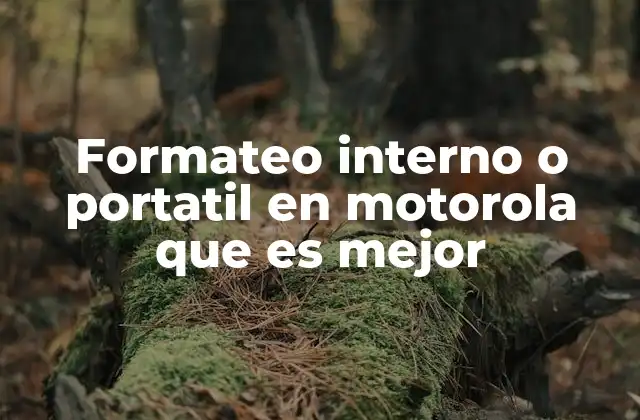 Formateo Interno o Portatil en Motorola que es Mejor