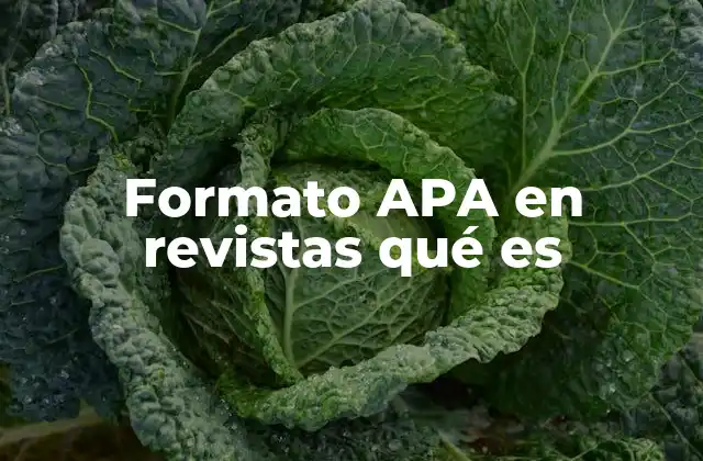 Formato Apa en Revistas Qué es