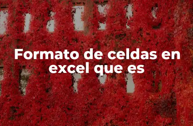 Formato de Celdas en Excel que es