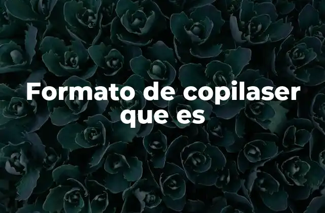 Formato de Copilaser que es
