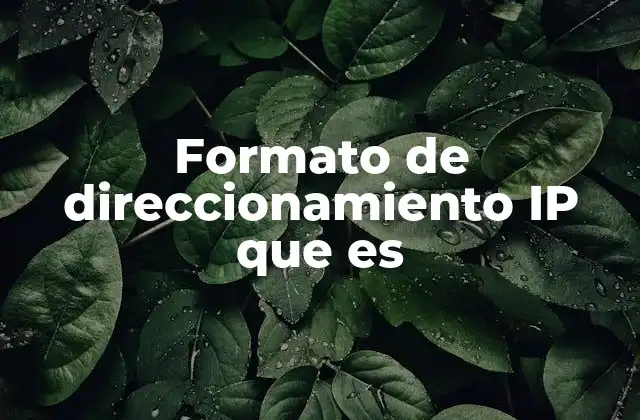 Formato de Direccionamiento Ip que es