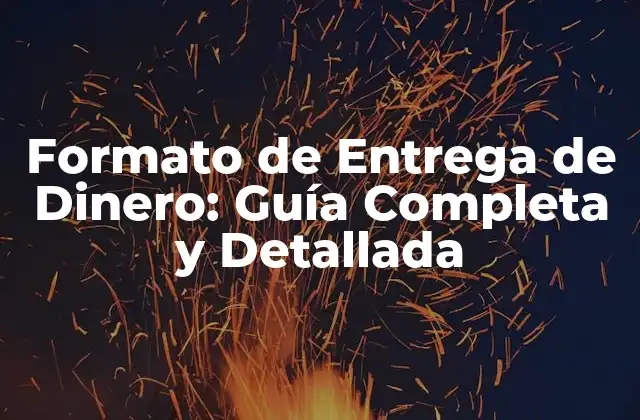 ¿Qué es el Formato de Entrega de Dinero?