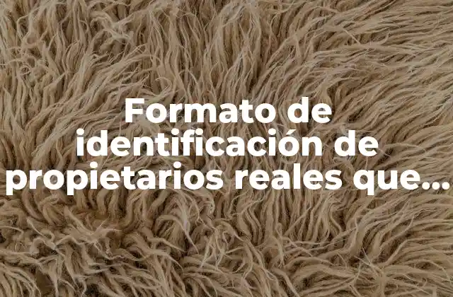 Formato de Identificación de Propietarios Reales que es