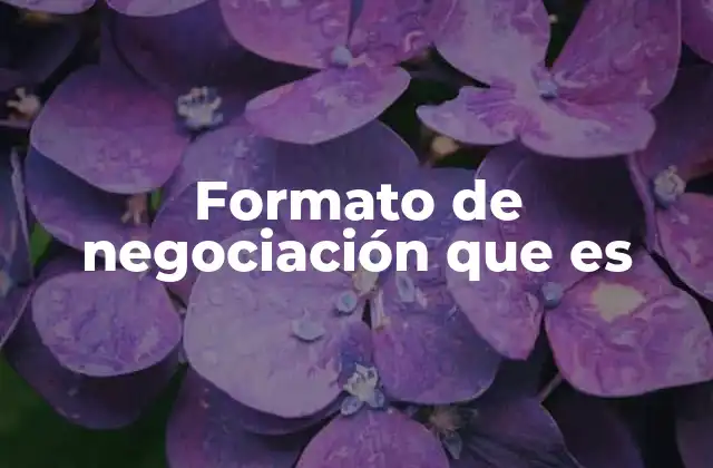 Formato de Negociación que es