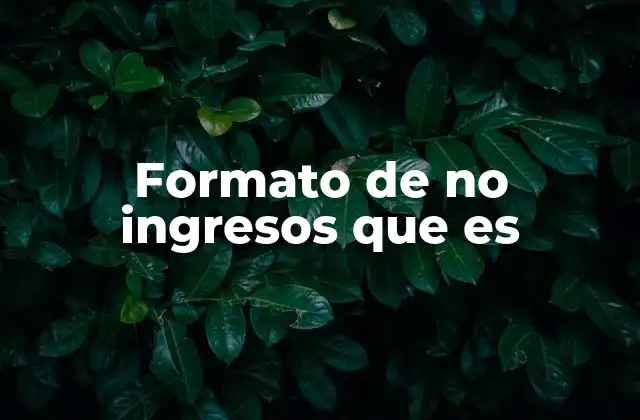 Formato de No Ingresos que es