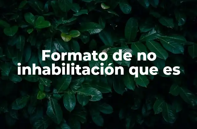 Formato de No Inhabilitación que es