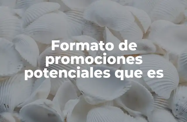 Formato de Promociones Potenciales que es