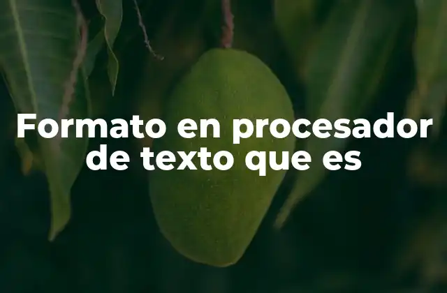 Formato en Procesador de Texto que es