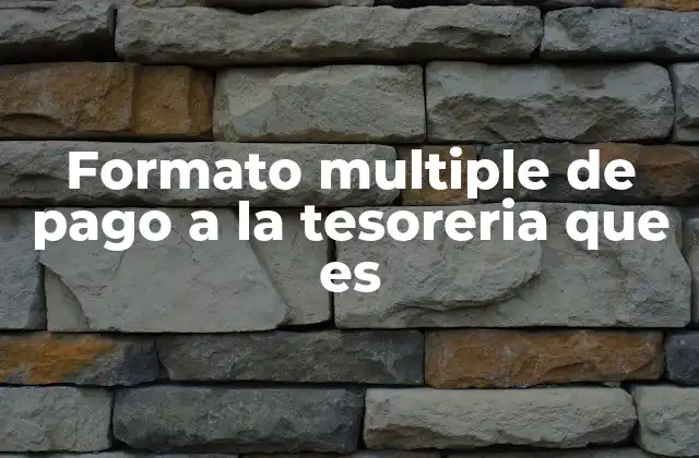 Formato Multiple de Pago a la Tesoreria que es