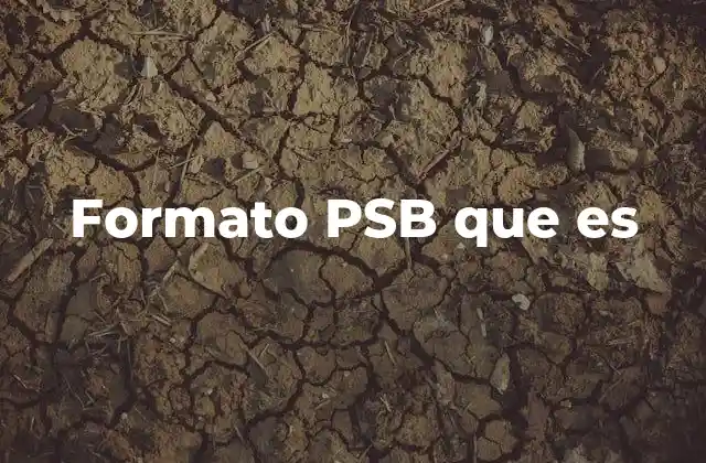 Formato Psb que es