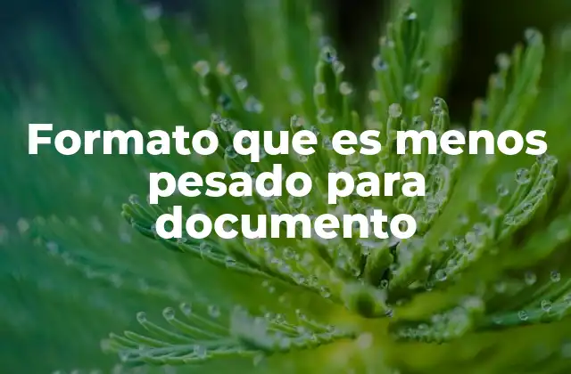 Formato que es Menos Pesado para Documento
