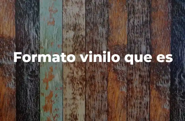 Formato Vinilo que es