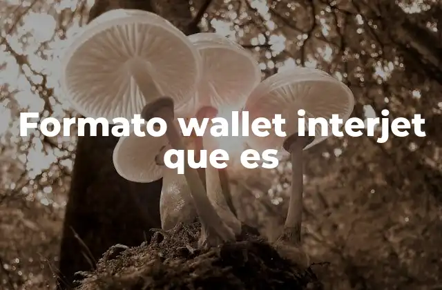 Formato Wallet Interjet que es
