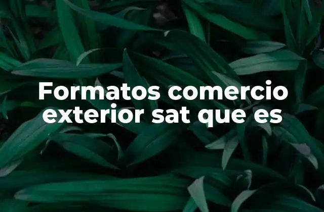 Formatos Comercio Exterior Sat que es