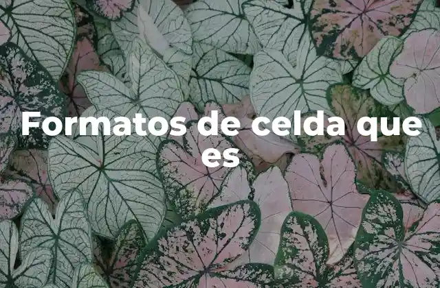 Formatos de Celda que es