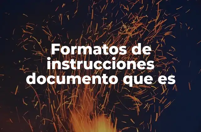 Formatos de Instrucciones Documento que es