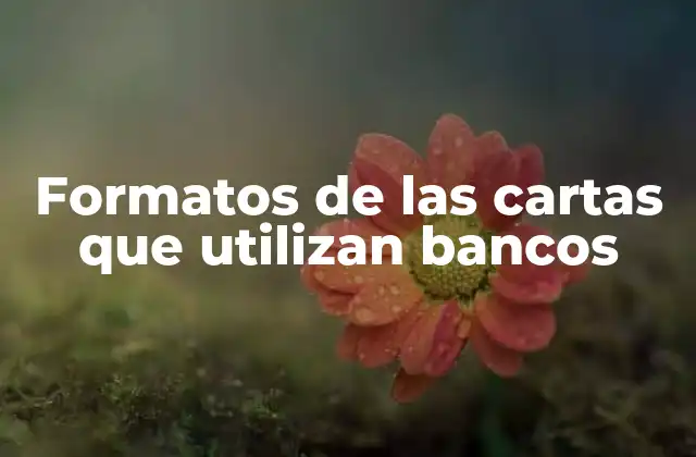 Formatos de las Cartas que Utilizan Bancos