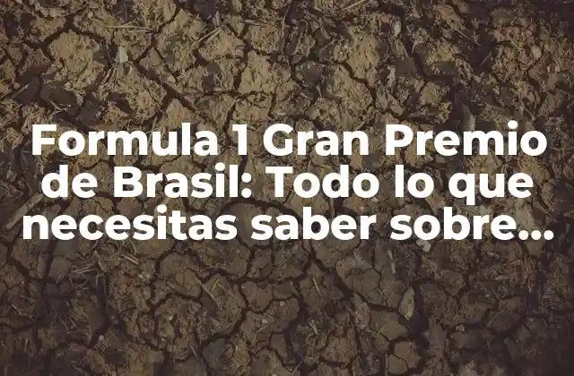 Formula 1 Gran Premio de Brasil: Todo Lo que Necesitas Saber sobre la Carrera Más Emocionante de la Temporada