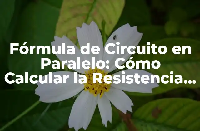 Fórmula de Circuito en Paralelo: Cómo Calcular la Resistencia y la Corriente