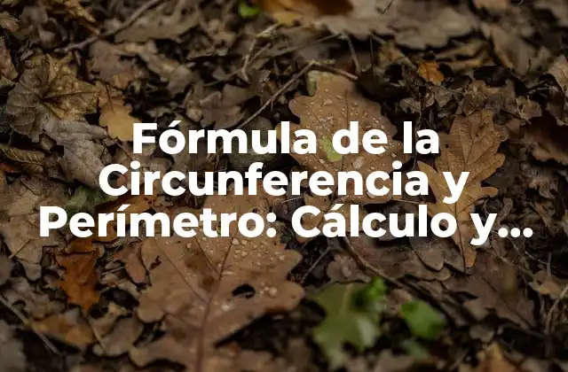 Fórmula de la Circunferencia y Perímetro: Cálculo y Aplicaciones