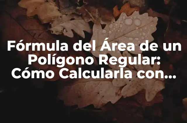 Fórmula Del Área de un Polígono Regular: Cómo Calcularla con Precisión