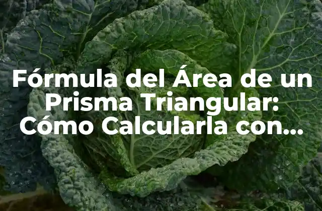 Fórmula Del Área de un Prisma Triangular: Cómo Calcularla con Precisión
